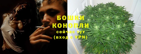 тгк Корсаков
